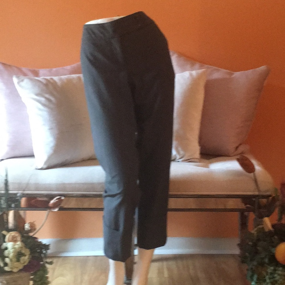 The Limited Pants